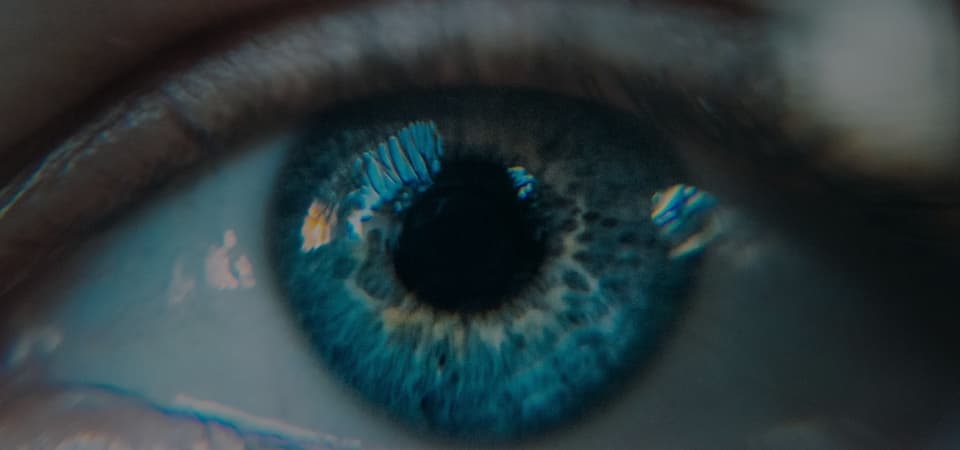 Who We Are - Learn About Us